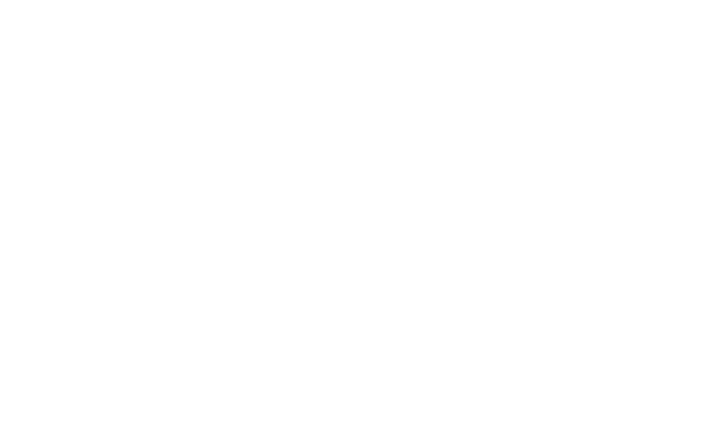 TSE